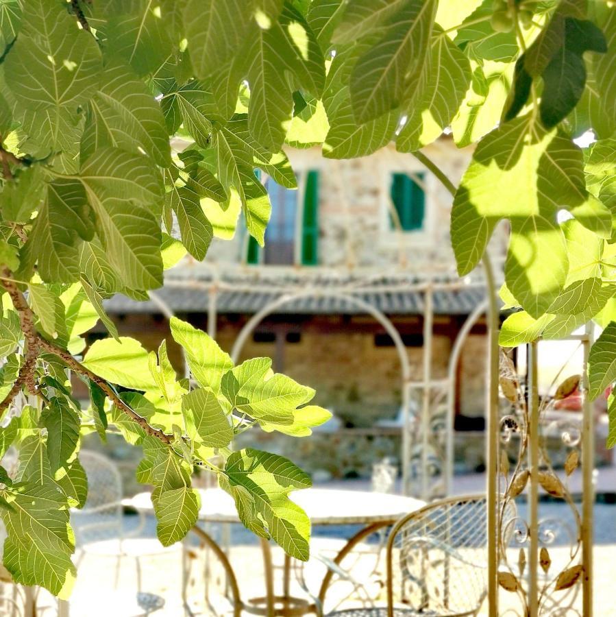 Fattoria Tolomei Campagnatico Kültér fotó