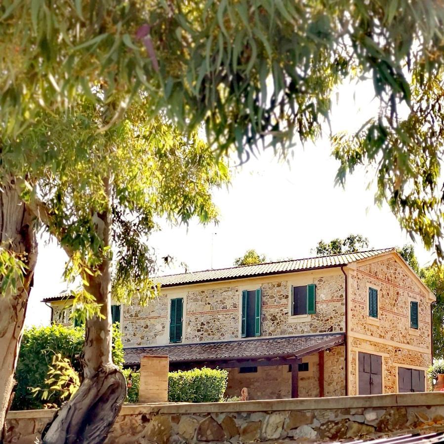 Fattoria Tolomei Campagnatico Kültér fotó