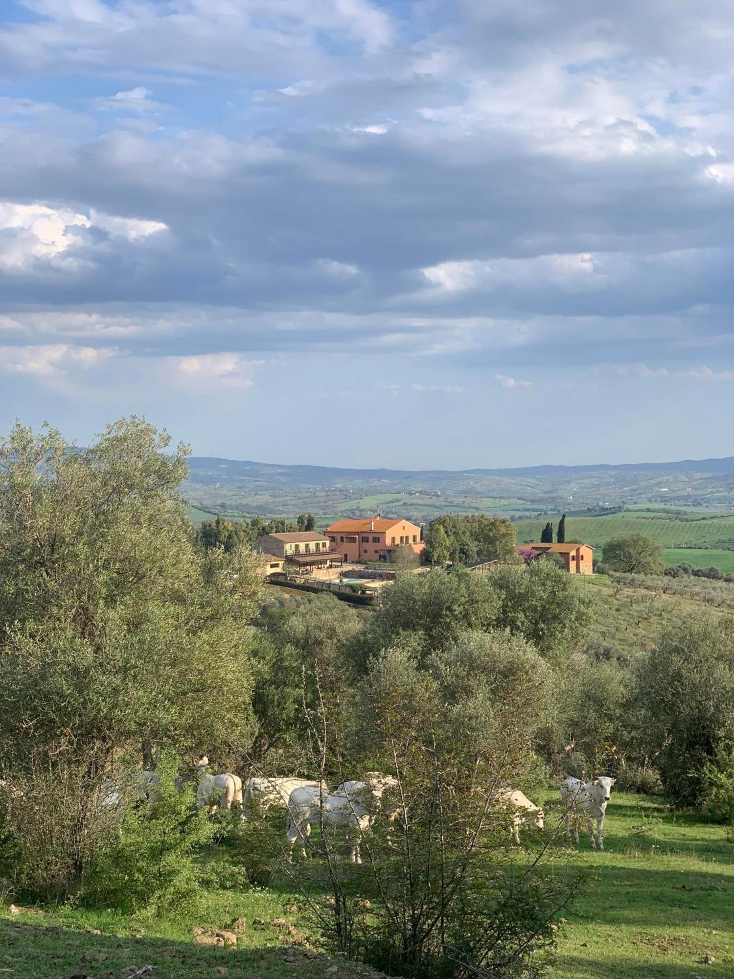 Fattoria Tolomei Campagnatico Kültér fotó