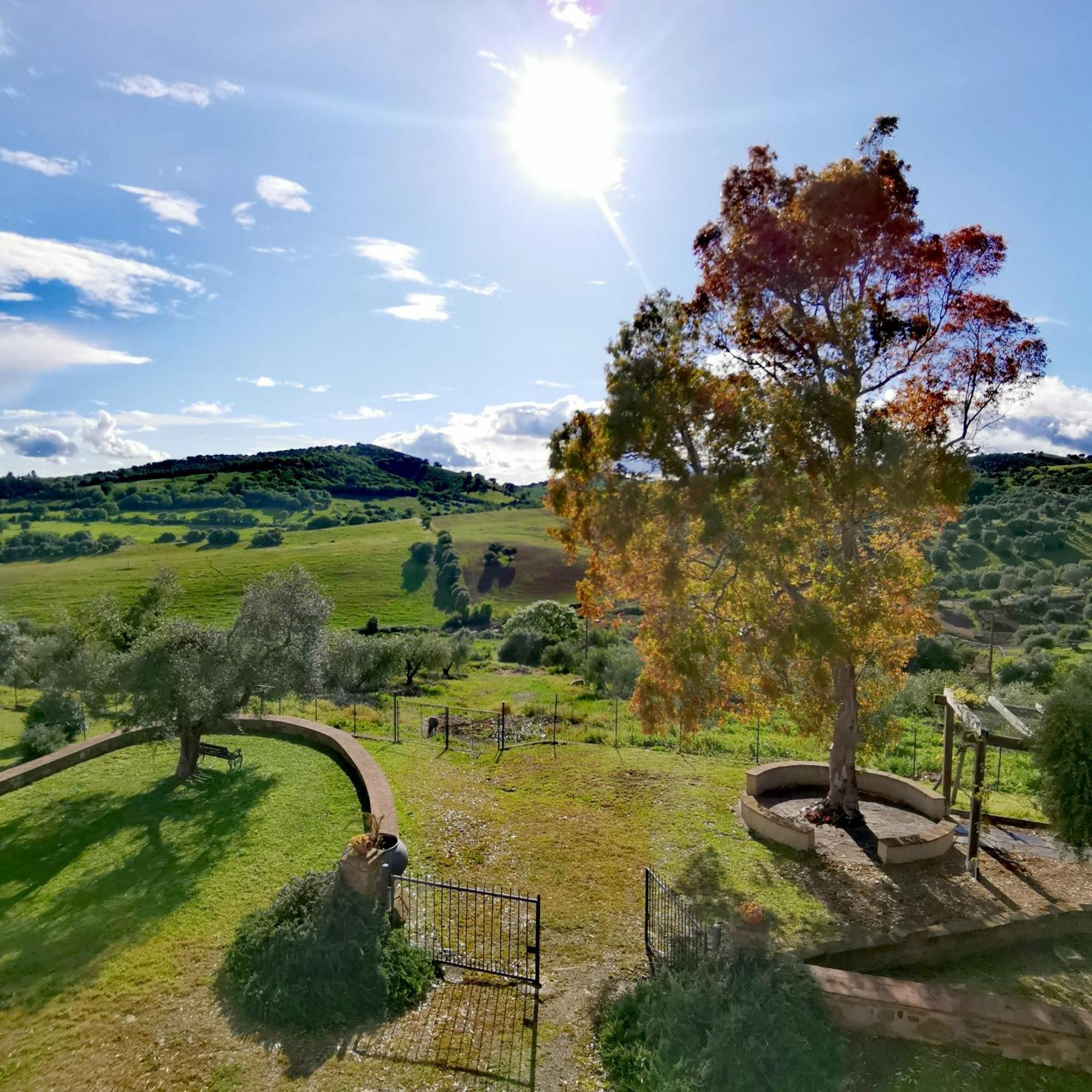 Fattoria Tolomei Campagnatico Kültér fotó
