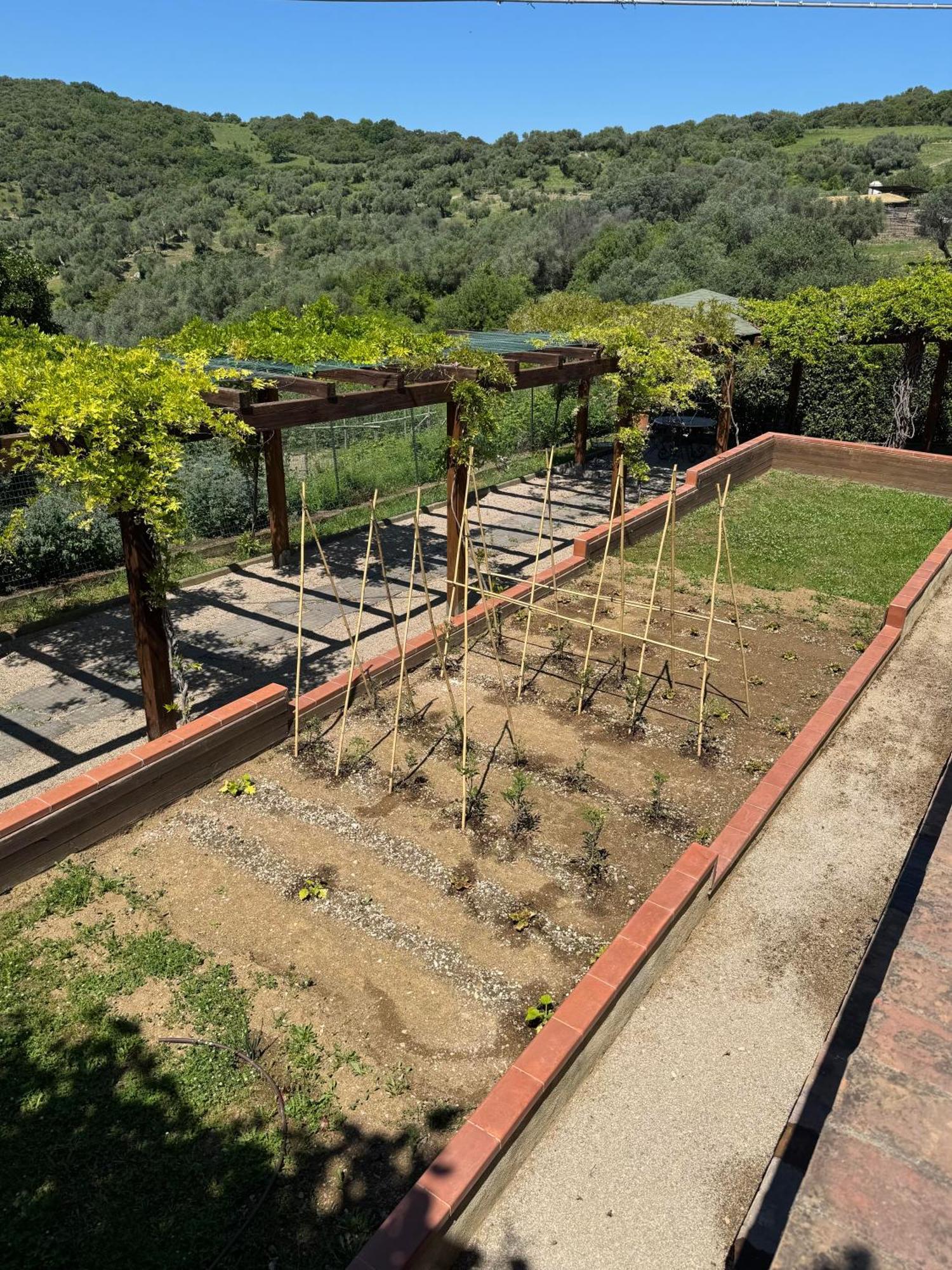 Fattoria Tolomei Campagnatico Kültér fotó